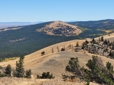 Coyote Hill