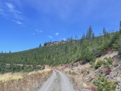 Siwash Peak
