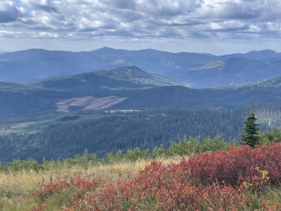 O'Donnell Peak
