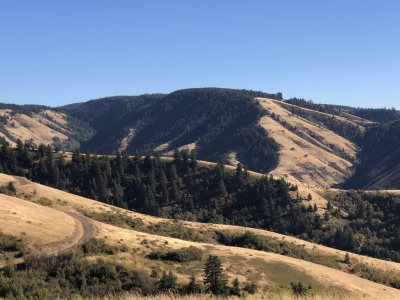 Pine Ridge