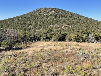 Cerro Alto