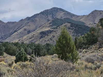 South Shoshone Peak