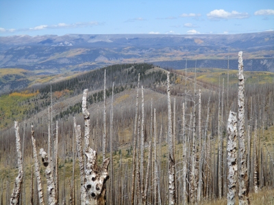 Elk Mountain