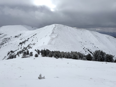 "Little Inyo"