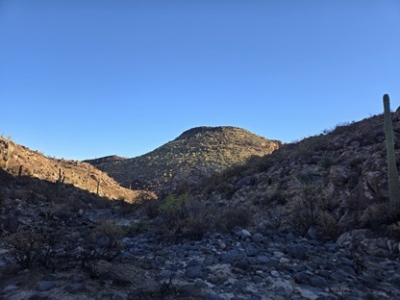 Yellow Peak