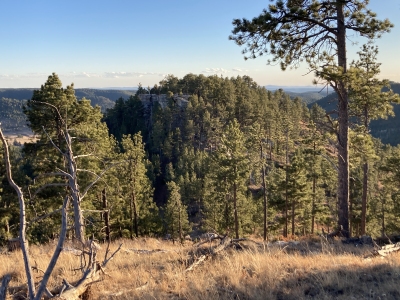 Twin Sisters, South