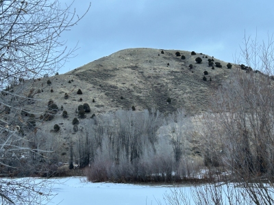 Boyles Hill