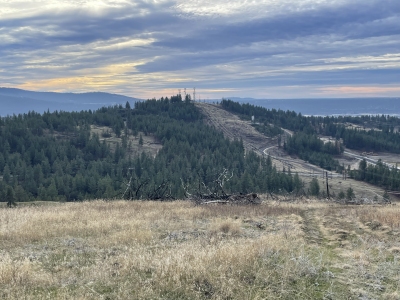 Beacon Hill