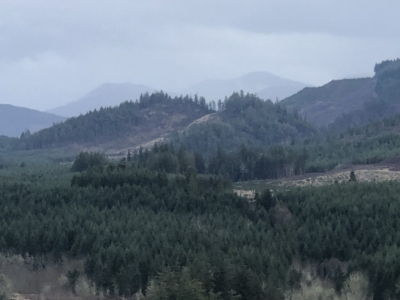 Shell Rock Ridge