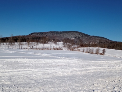 Blue Mountain