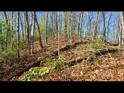 Forrester Ridge