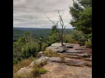 Tully Mountain