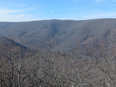 Peters Mountain