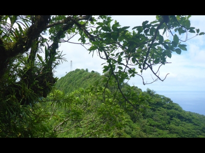 Alava Mountain