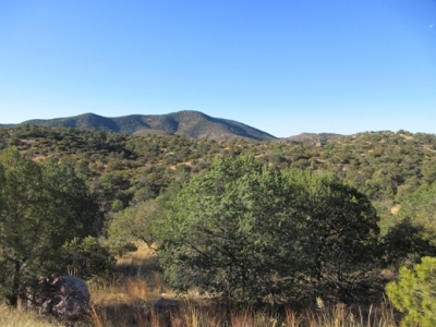 Canelo Hills