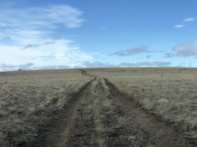 McInnes Norton Ridge