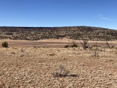 Victorino Mesa