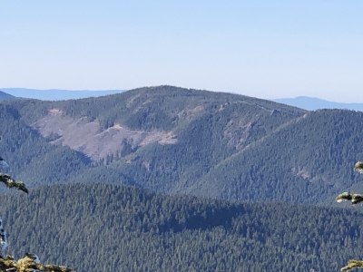 Cougar Mountain