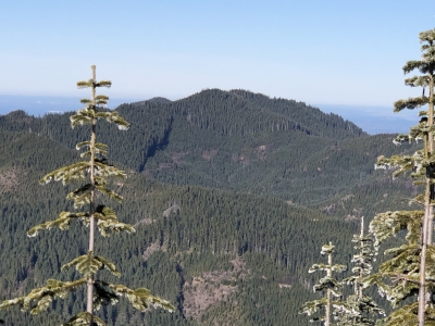 Ladd Mountain