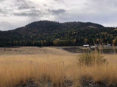 Gold Hill