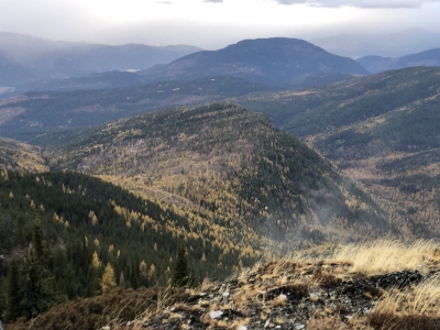 Windy Ridge