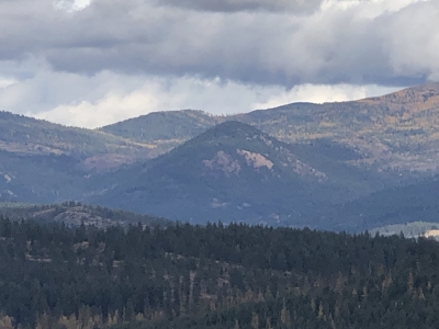 Comstock