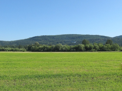 Mitchell Hill