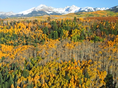 Rampart Hills