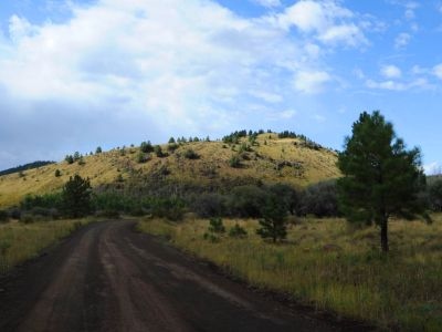Fern Mountain