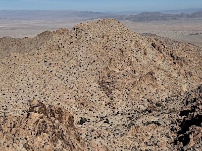 "Tensor Peak"