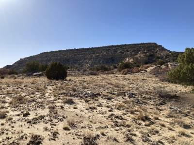 Wiener Mesa
