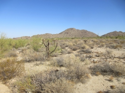 "Pump Station Peak"
