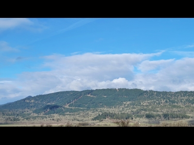 Buck Mountain