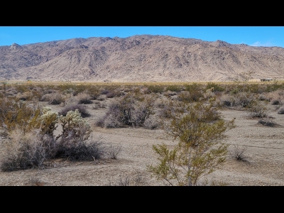 Joshua Mountain