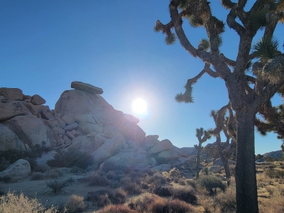 Cap Rock