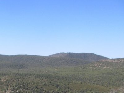 Ash Mountain