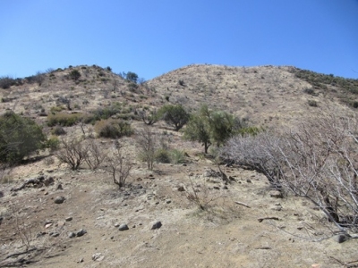 Babich Benchmark