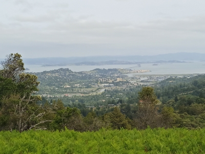 Pilot Knob