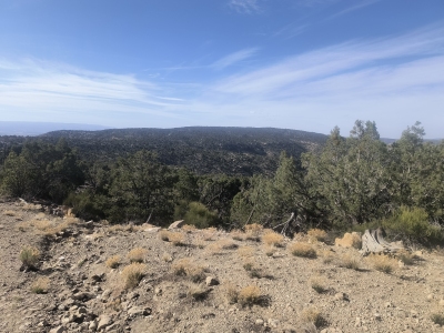 Saddle Ridge