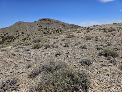 Sugar Peak