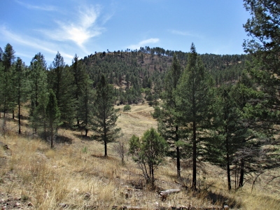 Moon Mountain