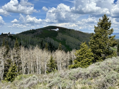 Baldy Mountain