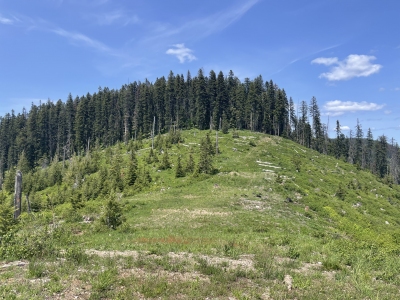 Trapper Peak