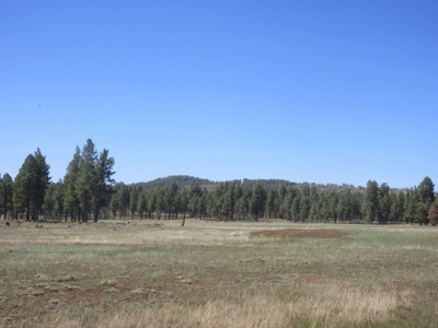 Dutton Hill