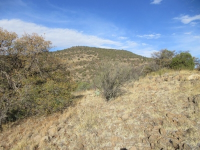 Big Lue Mountains (HP)