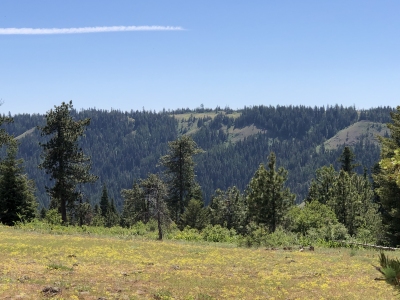 Round Mountain