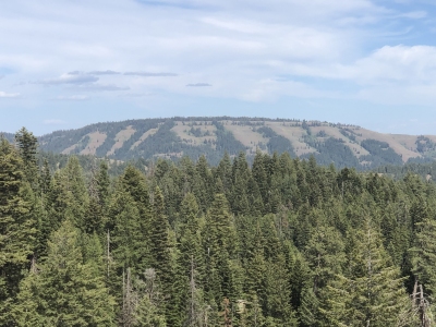 Huckleberry Mountain