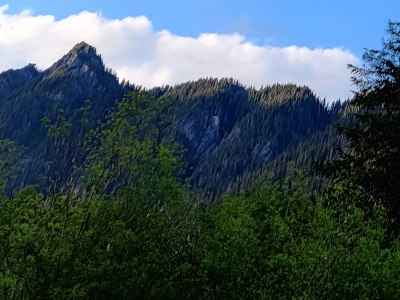 "Beaver Peak"