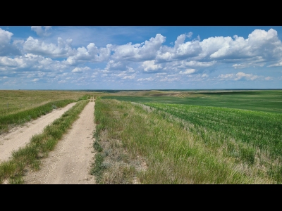 Daniels County HP