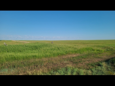 Roosevelt County HP